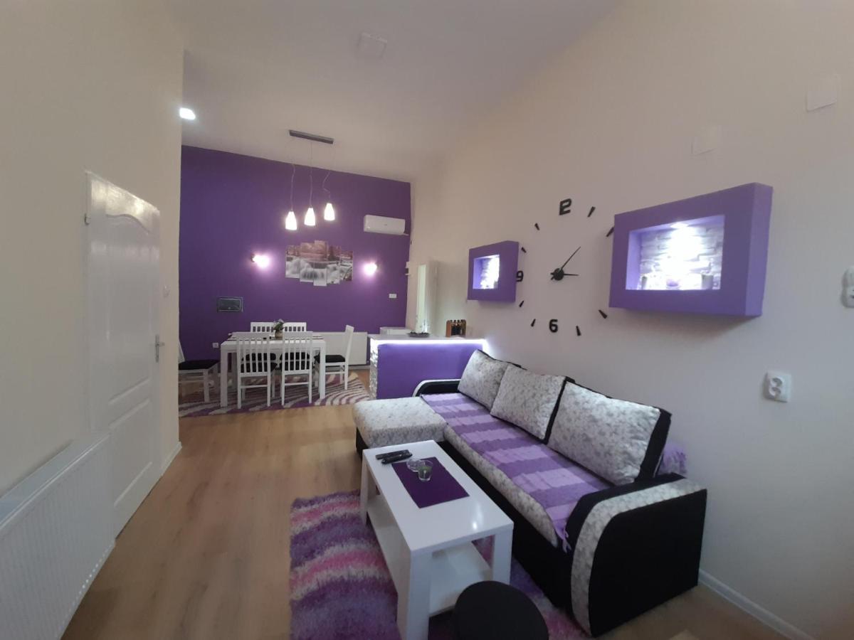 Apartman Lela Vrsac Exterior foto