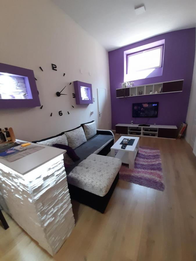 Apartman Lela Vrsac Exterior foto